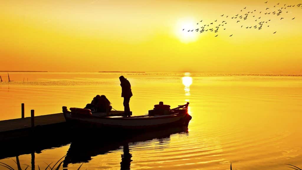 https://revistajaraysedal.es/wp-content/uploads/2021/08/pesca-galicia-puerto.jpg