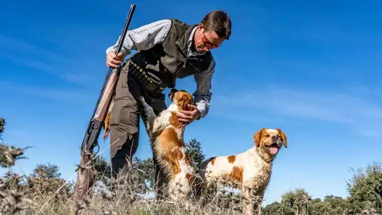 Cazador con sus perros