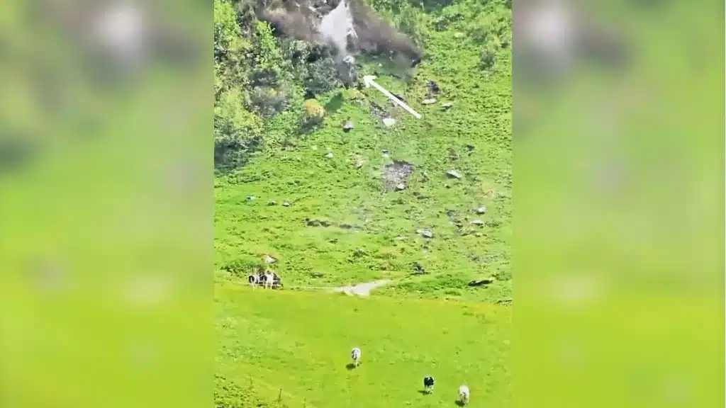 Un desprendimiento en una montaña provoca la estampida de un grupo de vacas a punto de ser aplastadas.