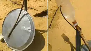 Un agricultor diseña un ingenioso invento casero para ahuyentar aves y jabalíes de sus siembras
