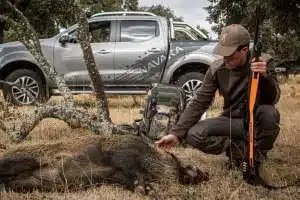 Cómo saber si un jabalí es medalla nada más cazarlo