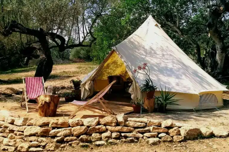 tienda de campaña olivar