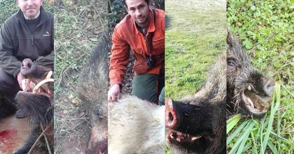 https://revistajaraysedal.es/wp-content/uploads/2021/08/pesca-galicia-puerto.jpg