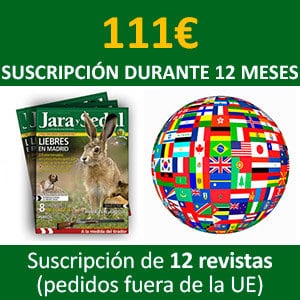 Suscripción durante 12 meses (fuera de la UE)